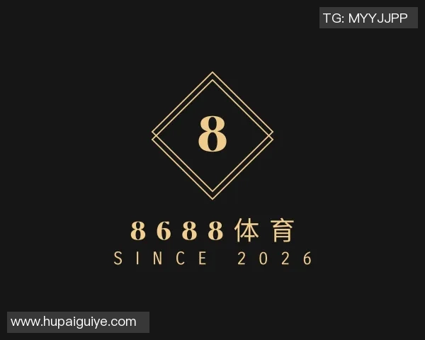 与刘娜畅谈排球生涯的辉煌与挑战之路